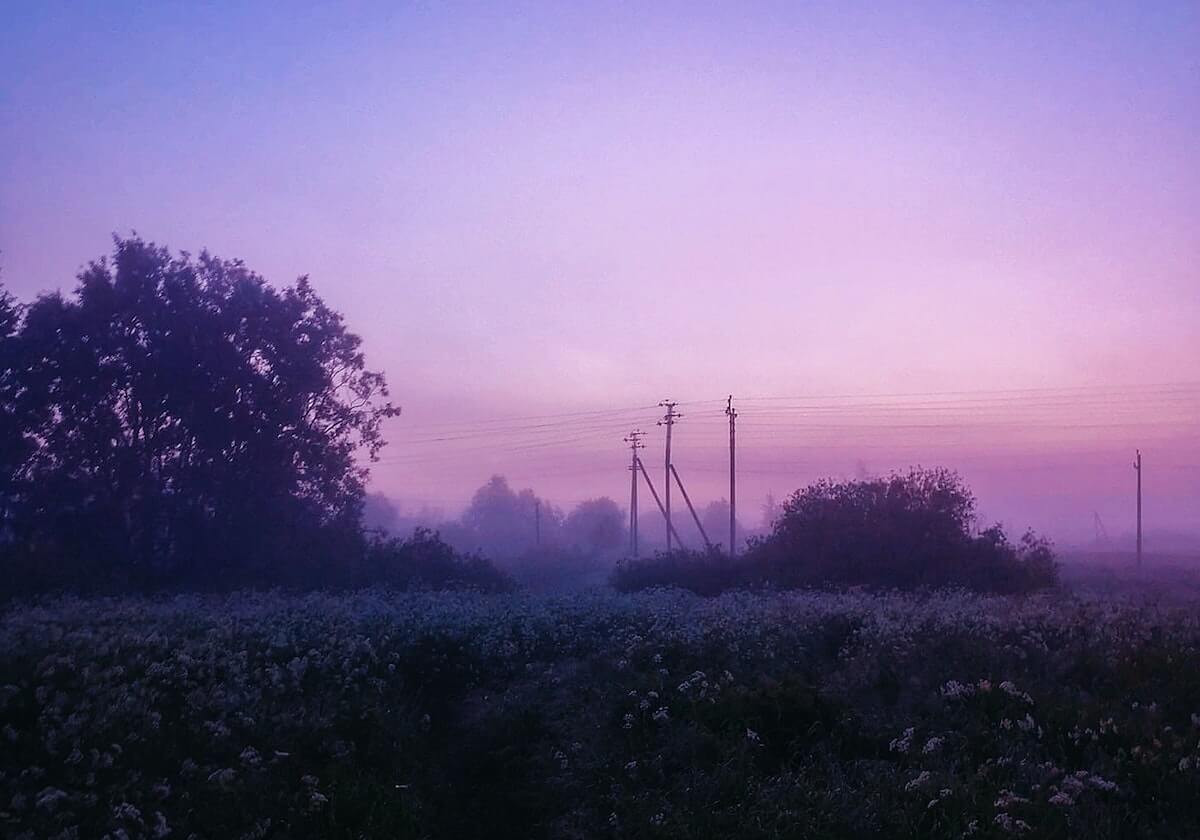 意甲媒体透露:帕夫洛维奇缝了九针,他有很大可能缺阵米兰与科莫之战