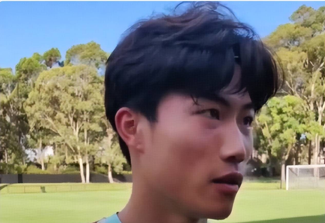 有国脚质疑邵佳一,他揭秘德甲留洋辉煌经历,打脸那些质疑者?